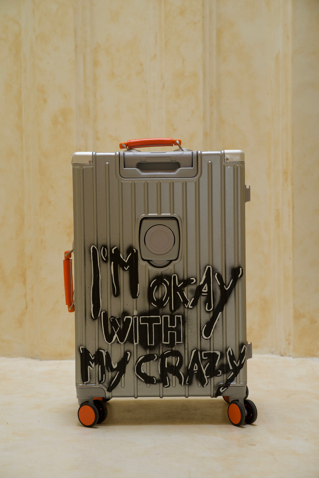 Custom Suitcase Silver ( Medium )