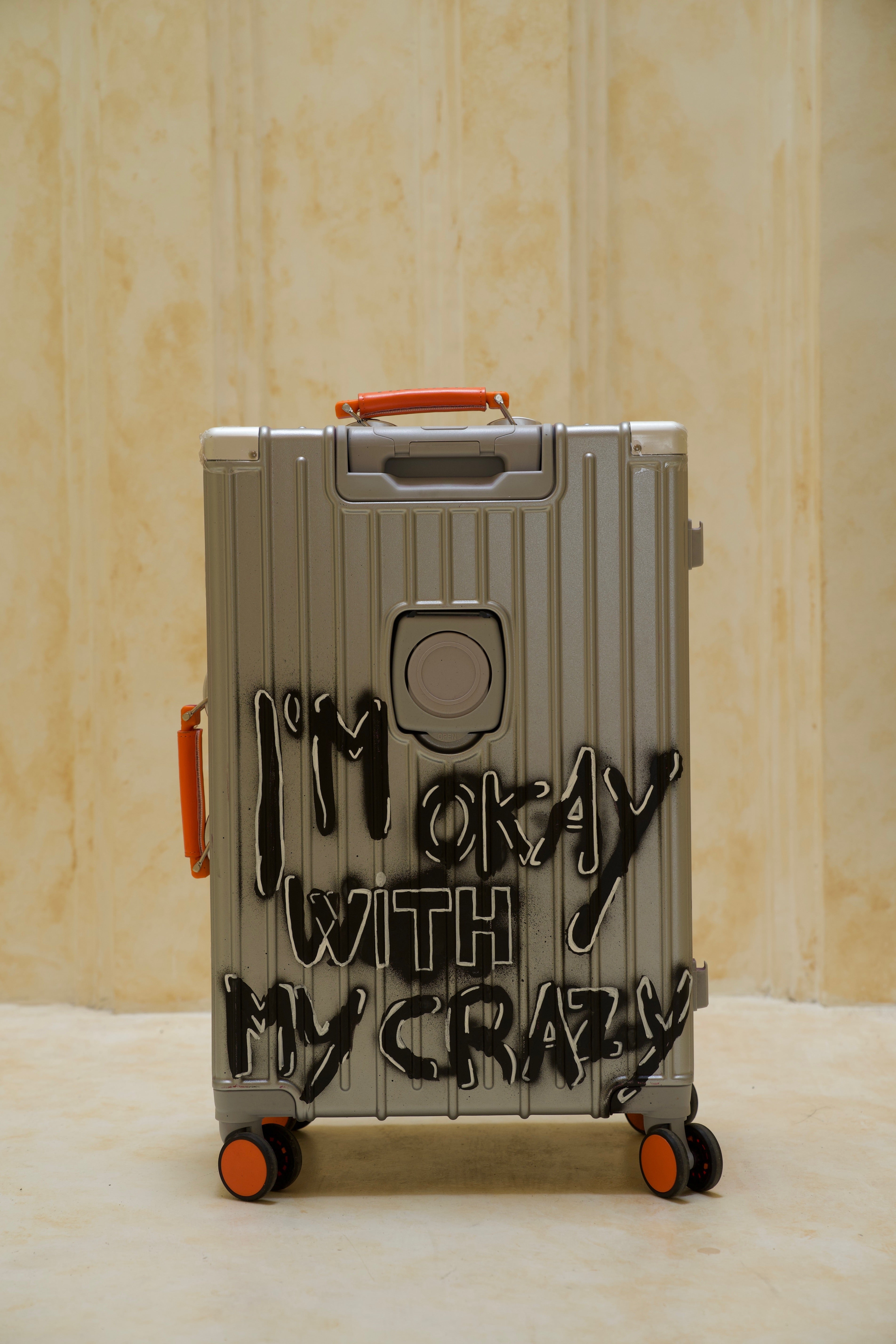 Custom Suitcase Silver ( Medium )